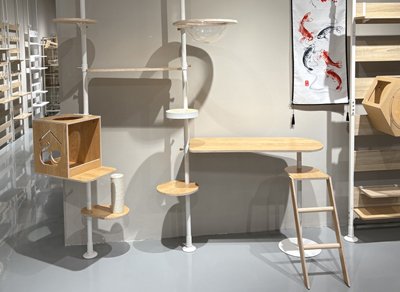 辦公區(qū)域及展廳